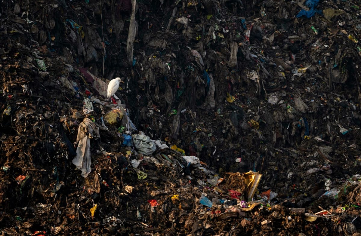 Viable resources on landfill