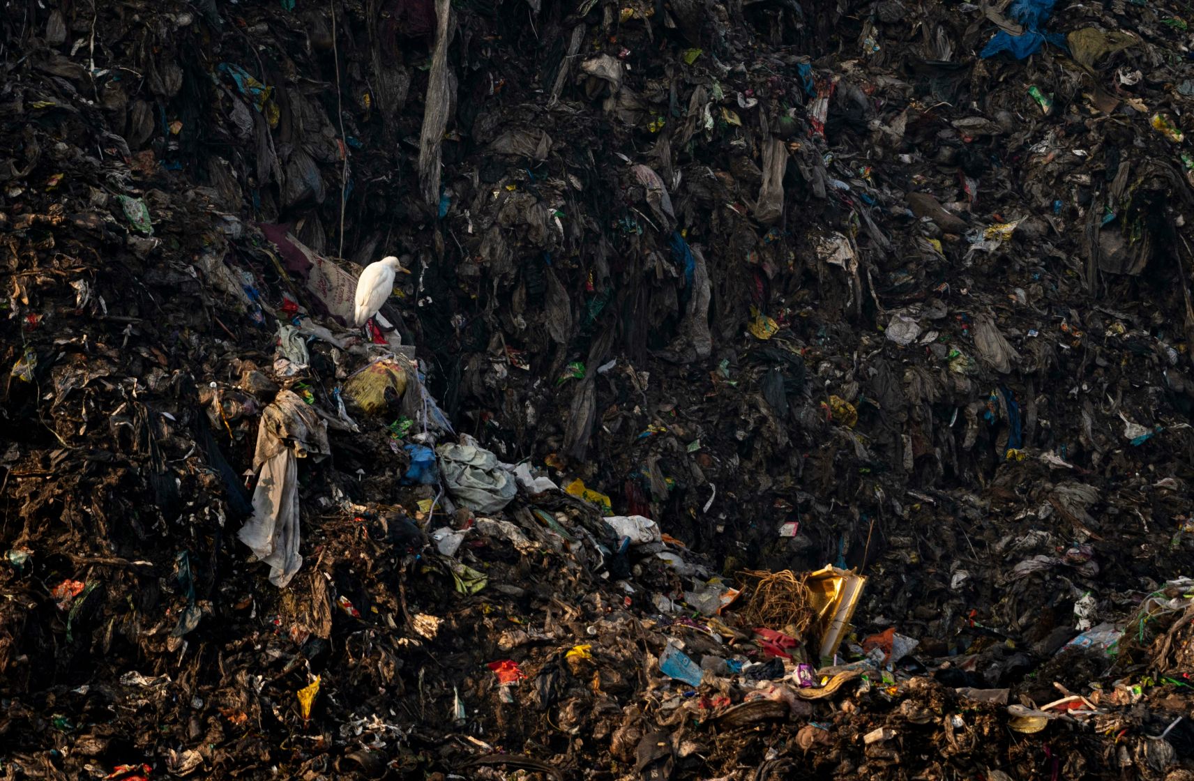 Viable resources on landfill